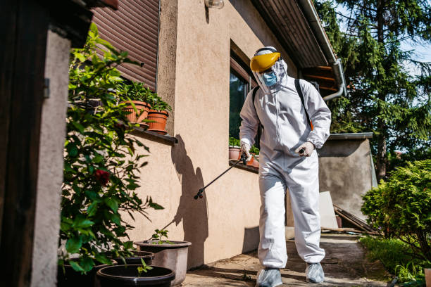Best Spider Control Near Me  in Savannah, GA